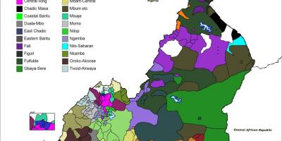 Карта Камеруна язык